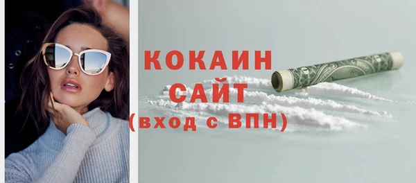 дживик Верхний Тагил