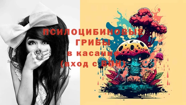 дживик Верхний Тагил