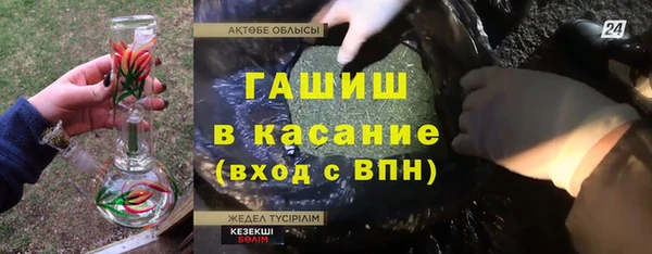 гидра Бородино