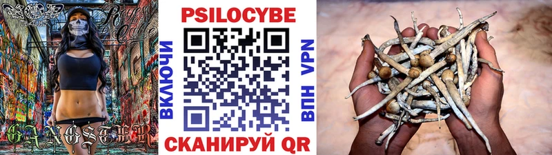 кракен ONION  купить  сайты  Вышний Волочёк  Галлюциногенные грибы прущие грибы 